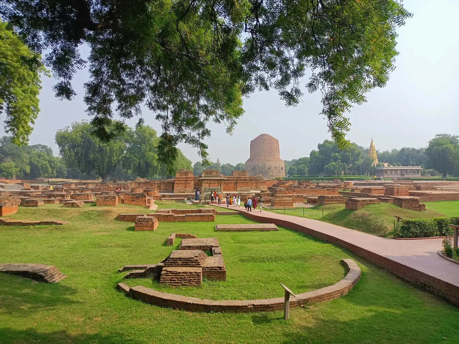 Excavated monastery foundations and lawns at Sarnath framed by overhanging branches, with the Dhamek Stupa in the distance