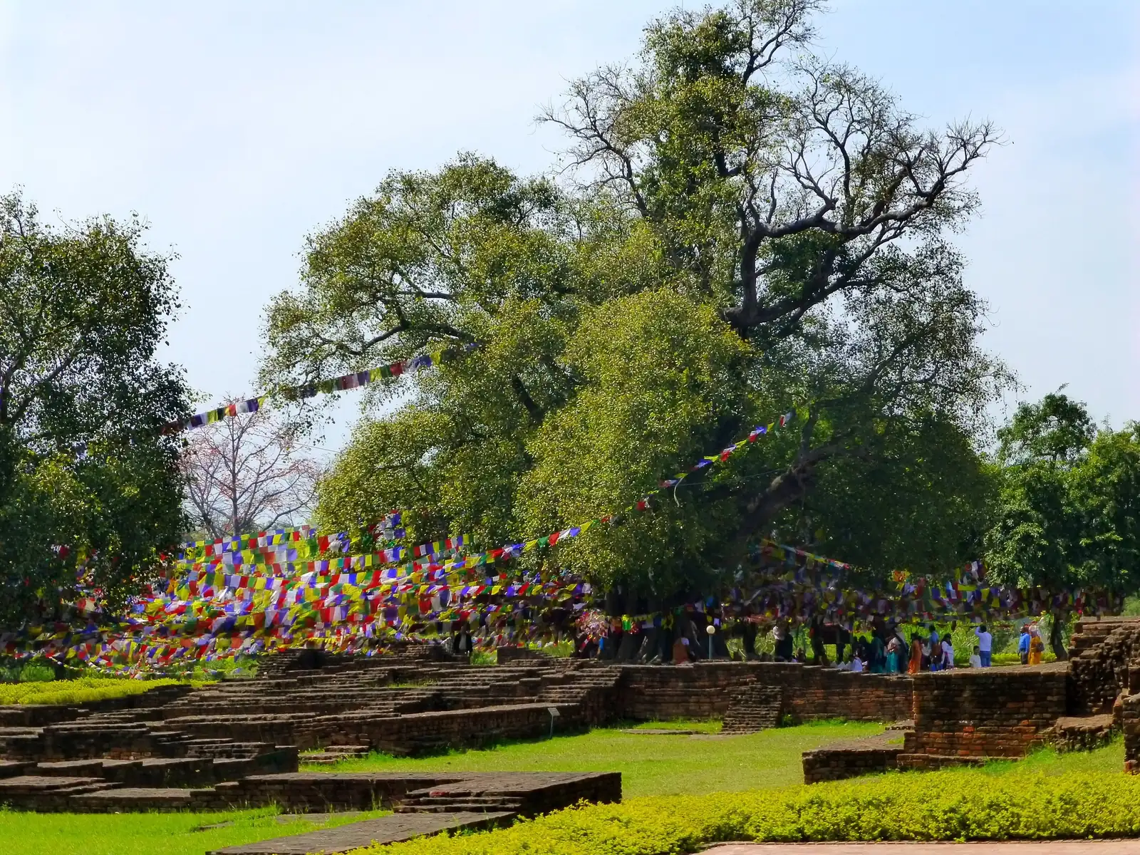 A great Bodhi tree hung with prayer flags beside ancient brick foundations in the Lumbini sacred garden