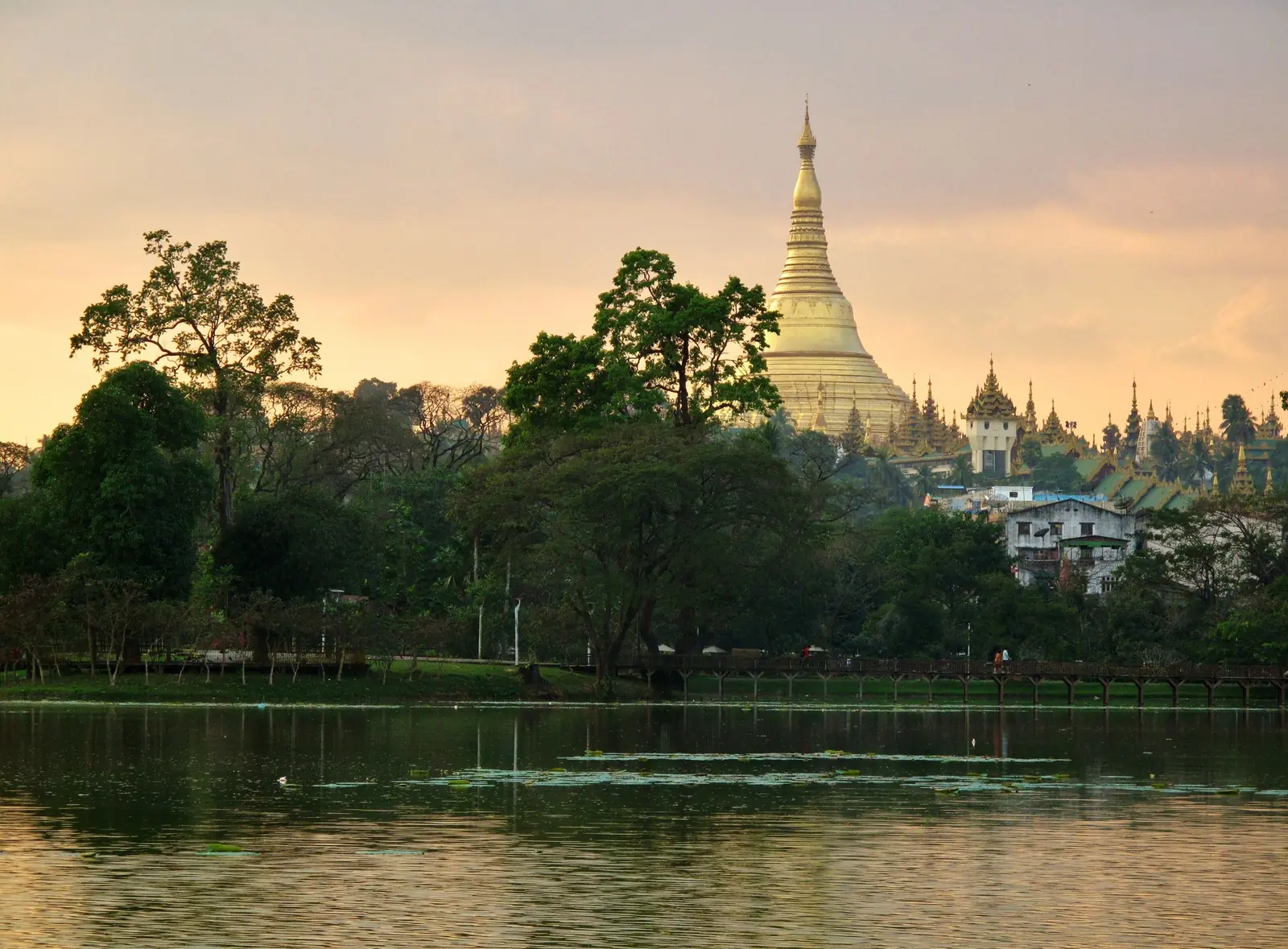 The golden Shwedagon Pagoda rising above trees on its hill, seen across Kandawgyi Lake in soft evening light