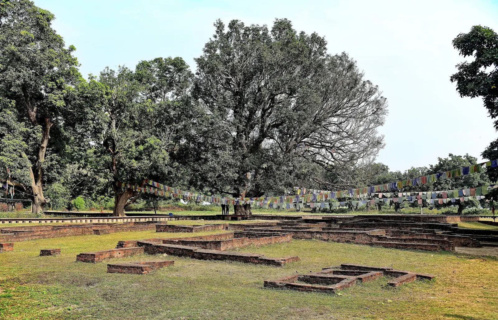 Excavated brick foundations of the ancient palace city at Tilaurakot under tall shade trees