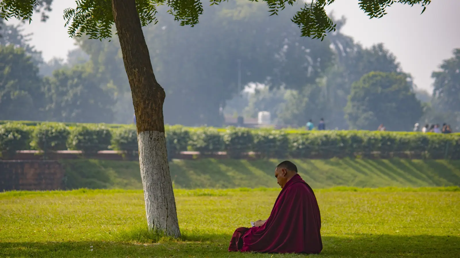 A monk in maroon robes sits alone in meditation on a sunlit lawn beneath a tree at Sarnath